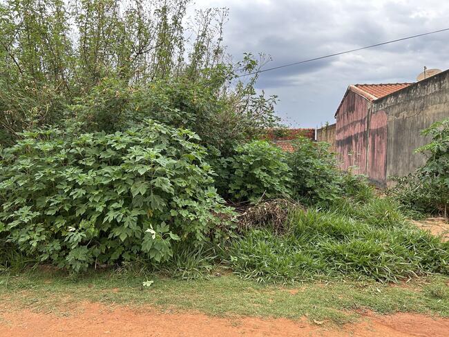 Lote N° 40, Da Quadra 45, Ouro Verde, Área 250,00 M², Padre Bernardo - Goiás., localizado em Padre Bernardo - GO