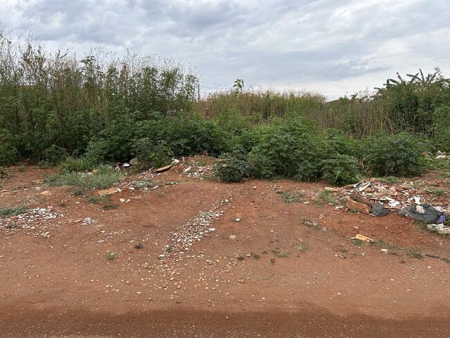 Lote N° 09, Da Quadra 76, Ouro Verde, Área 299,40 M², Padre Bernardo - Goiás., localizado em Padre Bernardo - GO