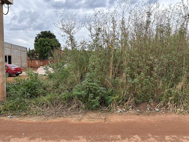 Lote N° 11, Da Quadra 76, Ouro Verde, Área 299,40 M², Padre Bernardo - Goiás., localizado em Padre Bernardo - GO