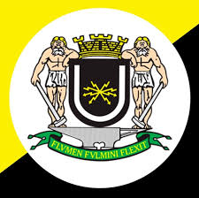 Capa do leilão ID 116