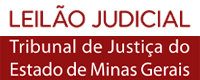 TRIBUNAL DE JUSTIÇA DE MINAS GERAIS