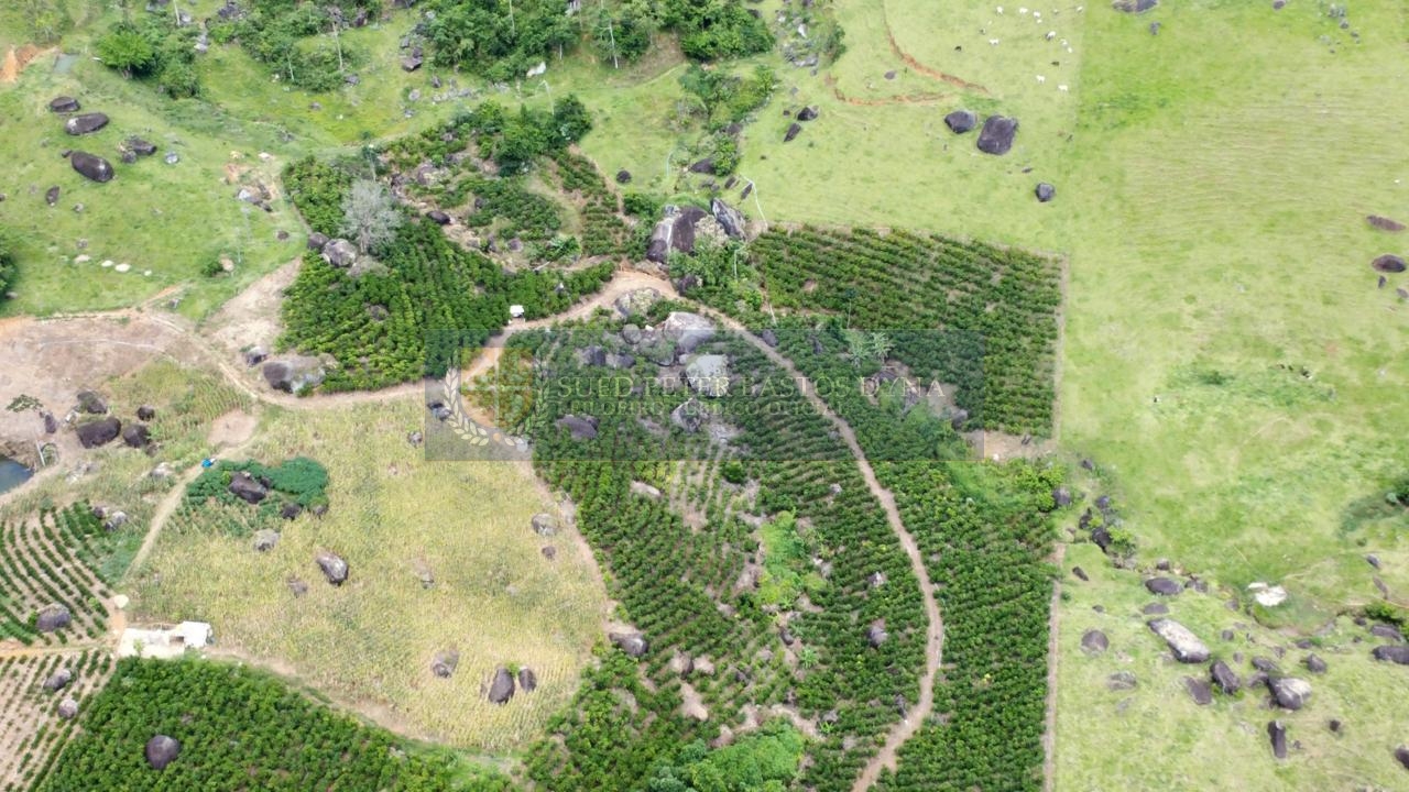 Capa do leilão ID 906