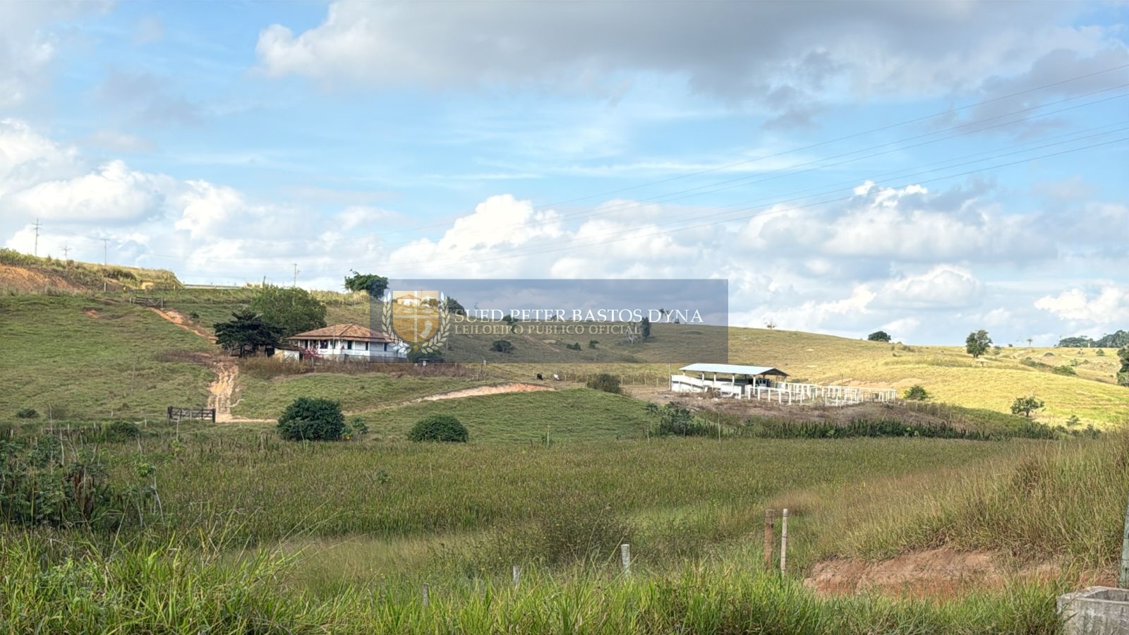 Capa do leilão ID 959