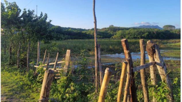 Área Rural de 300.000m² com Benfeitorias