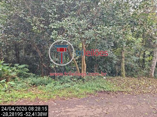 Passo Fundo (Rs): Terreno, 3117M2
