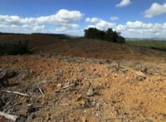 461,50 Ha Tasa Ii, Joinville/sc, localizado em Joinville - SC