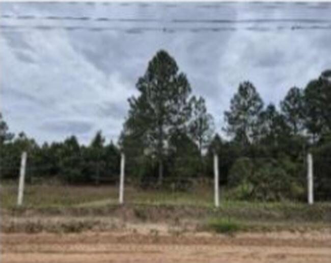 461,50 Ha Tasa Ii, Joinville/sc, localizado em Joinville - SC