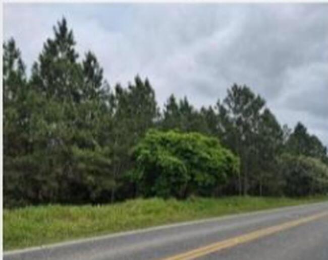 199,66 Ha Tetequera, Araquari-balneário Barra Do Sul/sc, localizado em Balneário Barra Do Sul - SC