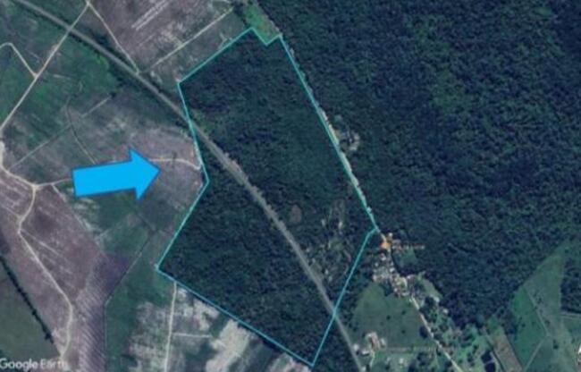 199,66 Ha Tetequera, Araquari-balneário Barra Do Sul/sc, localizado em Balneário Barra Do Sul - SC