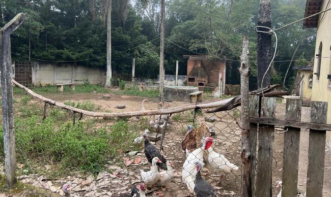 Terreno Chácara 27.200 M² Embu Guaçu/sp, localizado em Embu-guaçu - SP