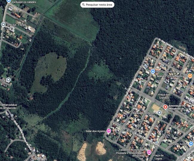 Terreno Área 147.071 M² Bem Localizado Praia Dos Açores Florianópolis/sc, localizado em Florianópolis - SC, bairro Pântano do Sul