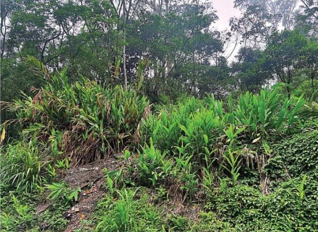 ÁREA DE 41.511 M²  EM SÃO BERNARDO DO CAMPO/SP