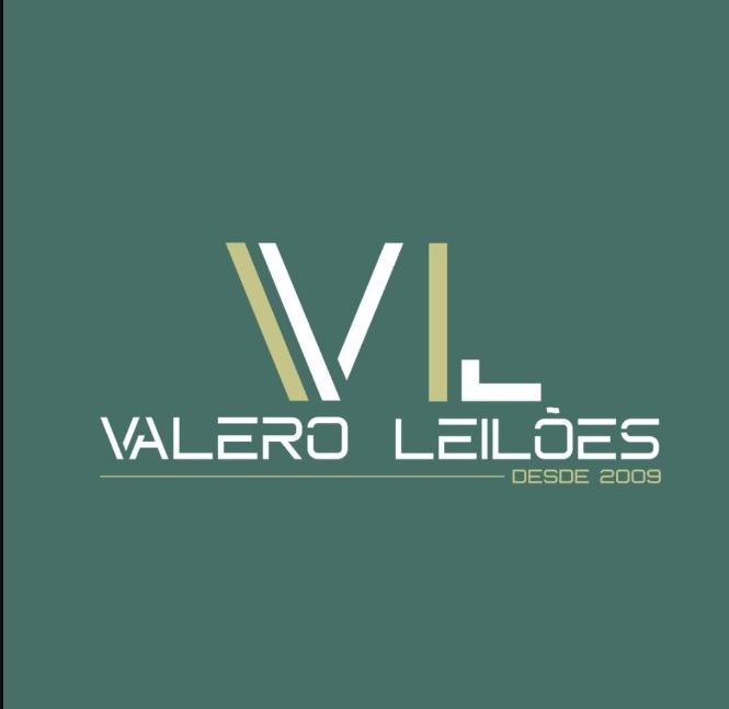 Capa do leilão ID 513