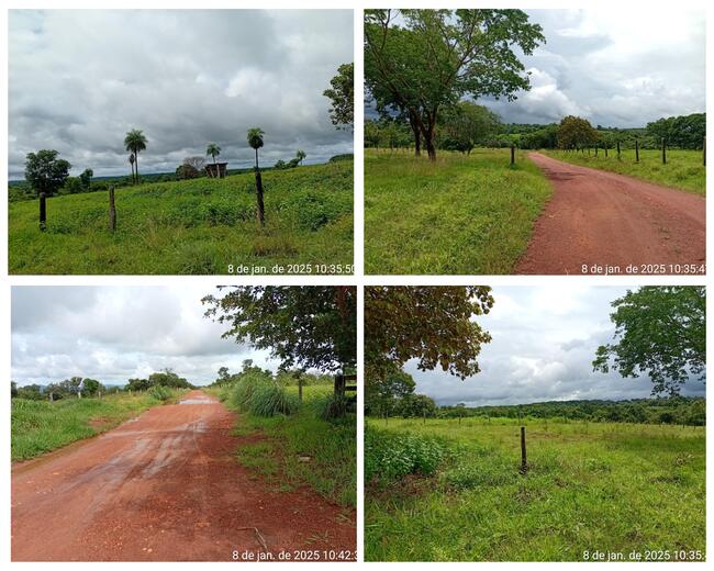 LEILÃO Á VISTA - SANTA TEREZINHA DE GOIÁS-GO --- Fazenda São Judas Tadeu com 717,59,01ha