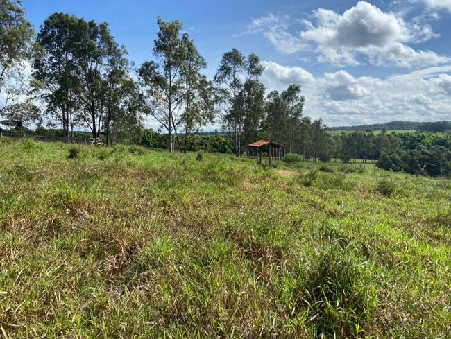 ORIZONA-GO ---- IMÓVEL RURAL COM ÁREA DE 18.67.50 HECTARES.