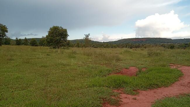 CACHOEIRA ALTA-GO --- Fazenda Matriz, contendo a área de 05 ha, 59 a, 29 ca