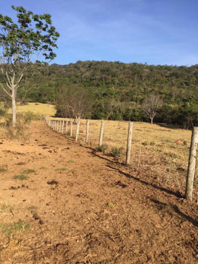 SÃO LUÍS DE MONTES BELOS --- IMÓVEL RURAL DE 02 ALQUEIRES DENTRO DE UMA ÁREA MAIOR.