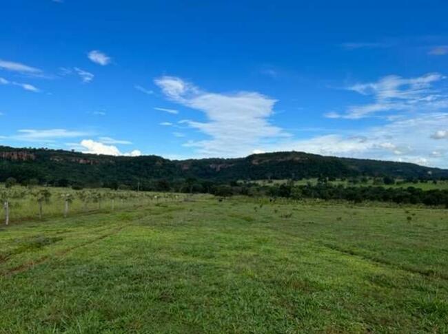 CACHOEIRA ALTA-GO --- Uma parte de terras de 22ha e 46a.