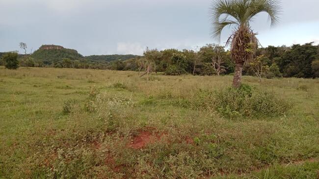 CACHOEIRA ALTA-GO --- Uma parte de terras de 22ha e 46a.