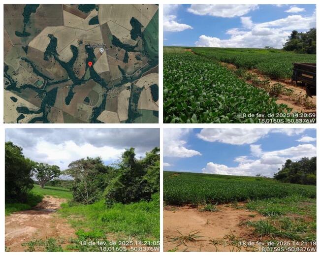 RIO VERDE-GO --- FAZENDA CABELEIRA INVERNADA - UMA PARTE DE TERRAS DE CAMPOS, COM 25,4575 HA