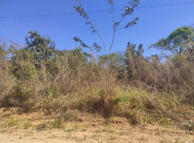 CALDAS NOVAS-GO ---- UM LOTE COM A ÁREA DE 600,00M².
