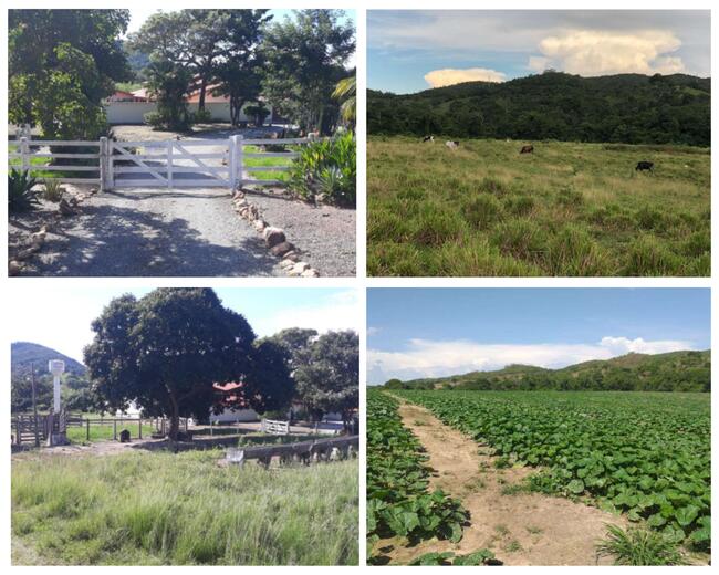 PONTALINA-GO --- FAZENDA "SÃO JOÃO", DENOMINADO "TARUMÃ" COM 07 ALQUEIRES.