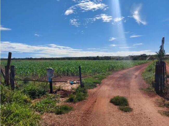 SANTO ANTÔNIO DA BARRA-GO -- FAZENDA LAGE-BARRA COM 4,0 HECTARES