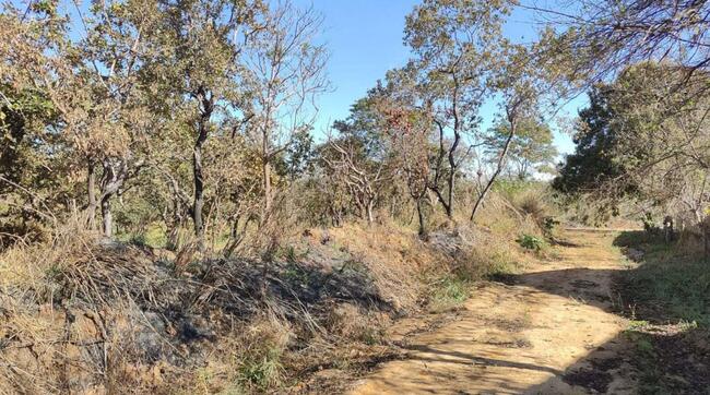 CALDAS NOVAS/GO - TRÊS LOTES DO LOTEAMENTO DE TERRAS "MANSÕES ÁGUAS QUENTES".