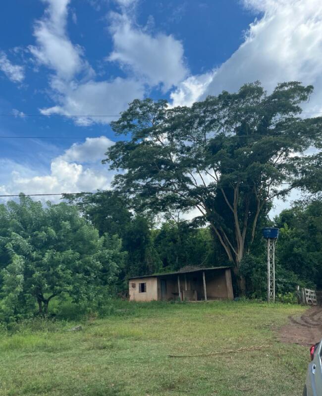 RIO VERDE-GO --- FAZENDA CONFUSÃO PARAISO COM AREA DE 05 ALQUEIRES E 50 LITROS