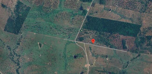 ZÉ DOCA-MA --- FAZENDA COM ÁREA DE APROXIMADAMENTE 1.202 HA