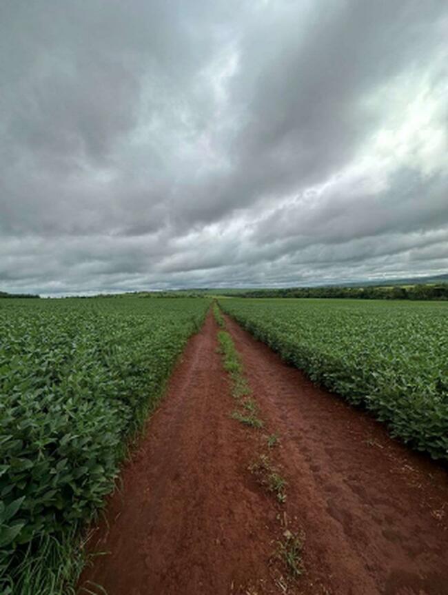 CAIAPONIA-GO --- UMA PARTE DE TERRAS COM ÁREA DE 72,6ha