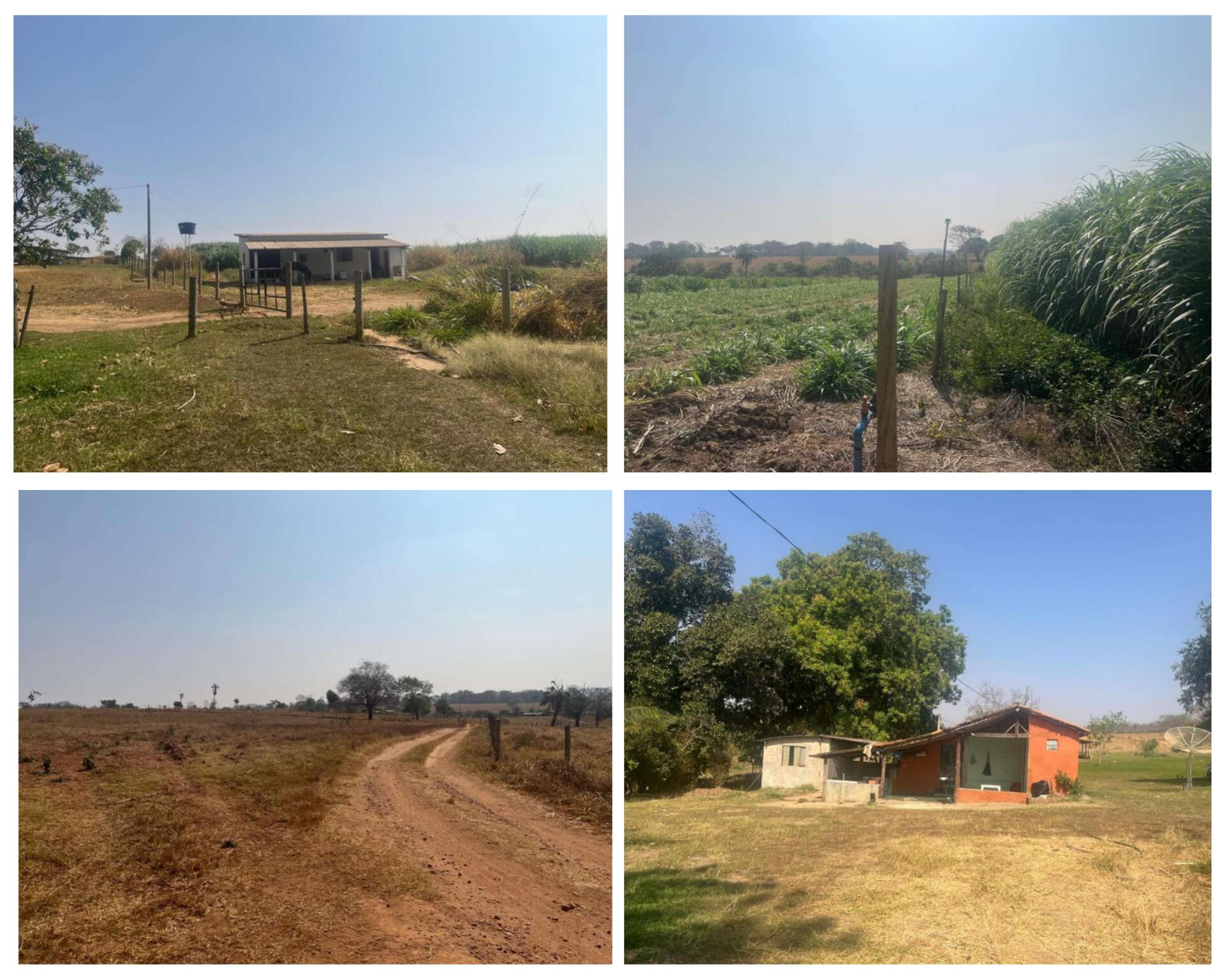 Capa do leilão ID 1460