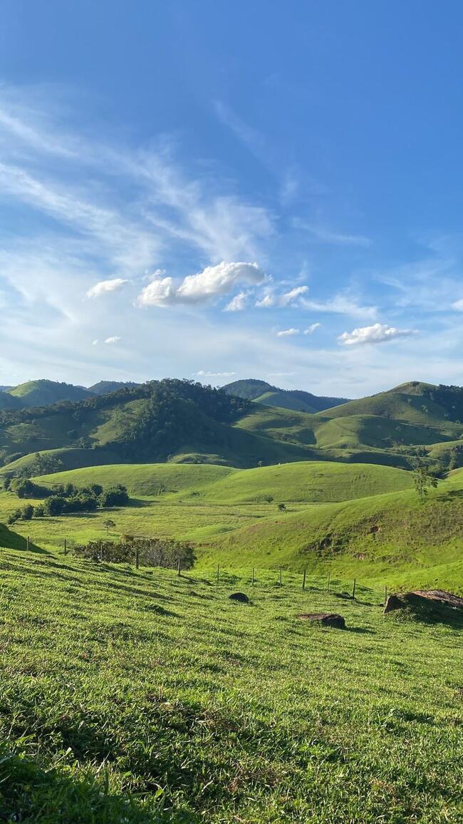 CAVALCANTE-GO --- FAZENDA COM 100 ALQ.