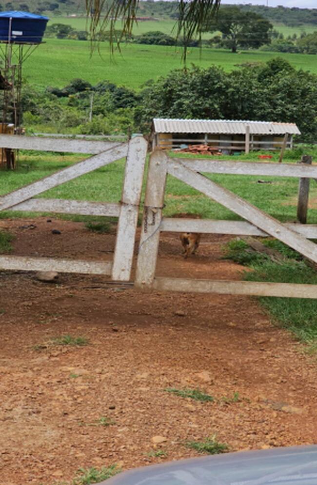 ANÁPOLIS-GO --- FAZENDA EXTREMA COM 380,31 HA