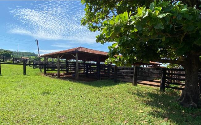 MOIPORÁ/GO - UMA GLEBA DE TERRAS COM 175,0152 HA
