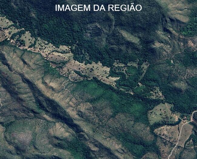 COLINAS DO SUL/GO - FAZENDA BOA VISTA COM 237,2914 HA