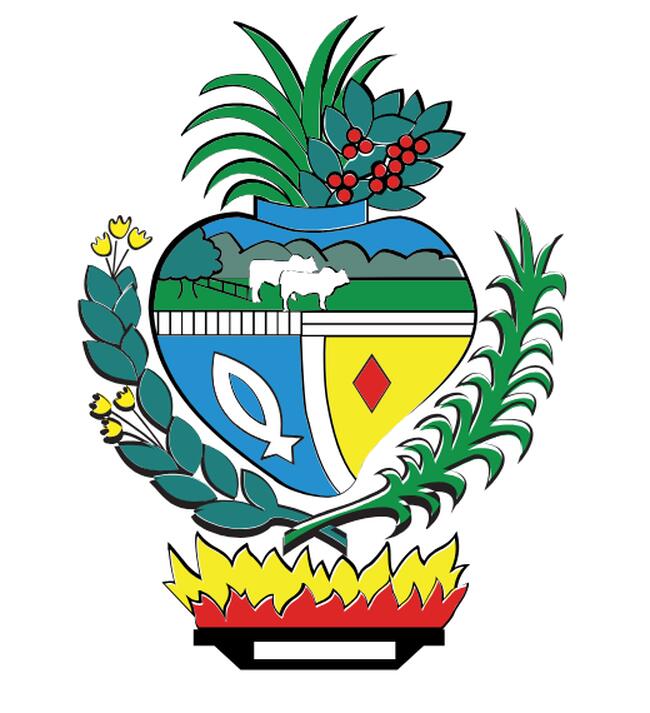GOIÂNIA/GO -  RENAULT/CLIO AUTHENTIQUE 1.0 H