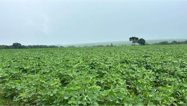 CAIAPÔNIA/GO - FAZENDA BOM JARDIM – 2,7.142 ALQUEIRES