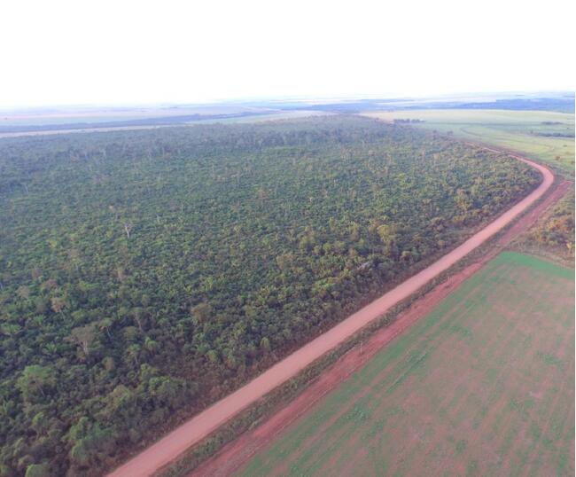 Bom Jesus do Araguaia-MT - Fazenda Guanabara IV, tem como área total 242 hectares.