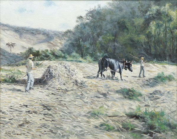 Bens diversos