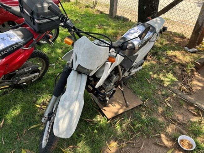 XR250 TORNADO, ANO: 2008/2008