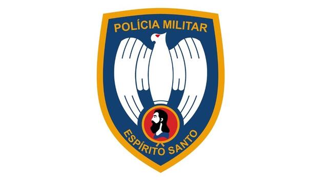Leilão PMES 2025