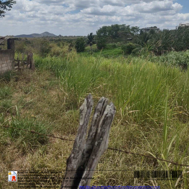 Capa do leilão ID 308