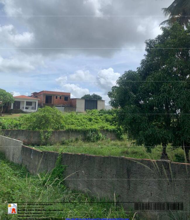 JFPB - (03 Terrenos em Guarabira/PB) - lotes murados