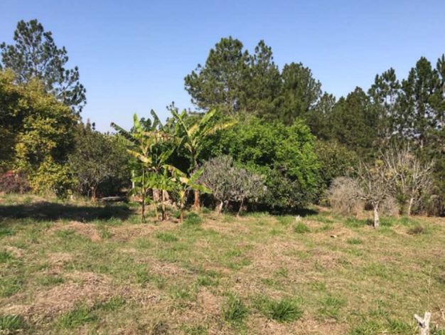 Chácara 5.000,00m² - Vale das Andorinhas, Itapetininga/SP