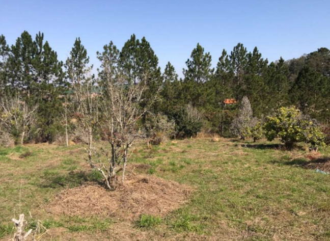 Chácara 5.000,00m² - Vale das Andorinhas, Itapetininga/SP