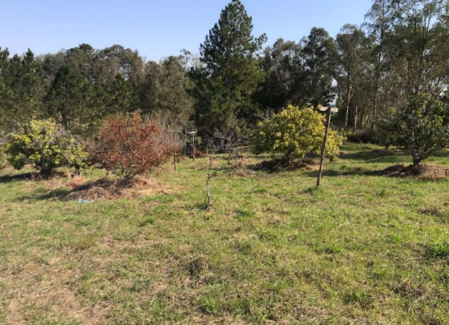 Chácara 5.000,00m² - Vale das Andorinhas, Itapetininga/SP