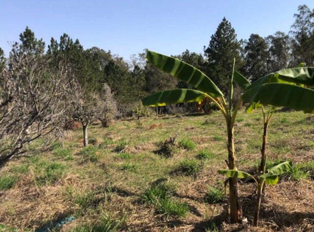Chácara 5.000,00m² - Vale das Andorinhas, Itapetininga/SP