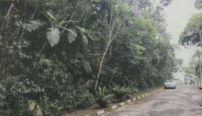 Terreno em Condomínio - Morada do Sol, Santana de Parnaíba/SP