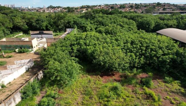 Terreno  - Vila Amelia, Ribeirão Preto /SP